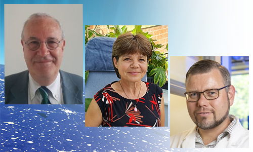 Boelo Schuur elected as new EFCE Scientific Vice-President, Giorgio Veronesi and Jarka Glassey reconfirmed in their positions - New trustees to join Executive Board in 2024
